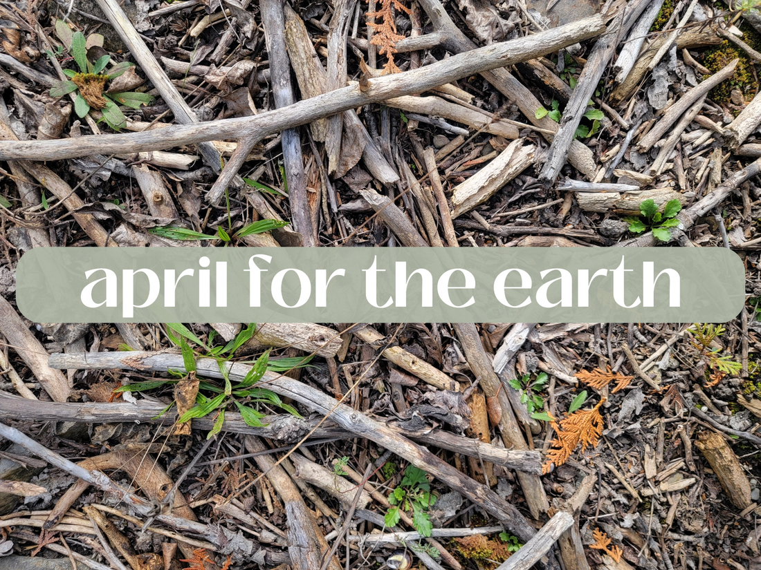 Image shows dead tree branches and ground cover with small bunches of greenery poking through in places. Title reads april for the earth.