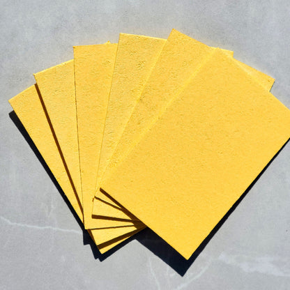 Biodegradable Cellulose Sponge