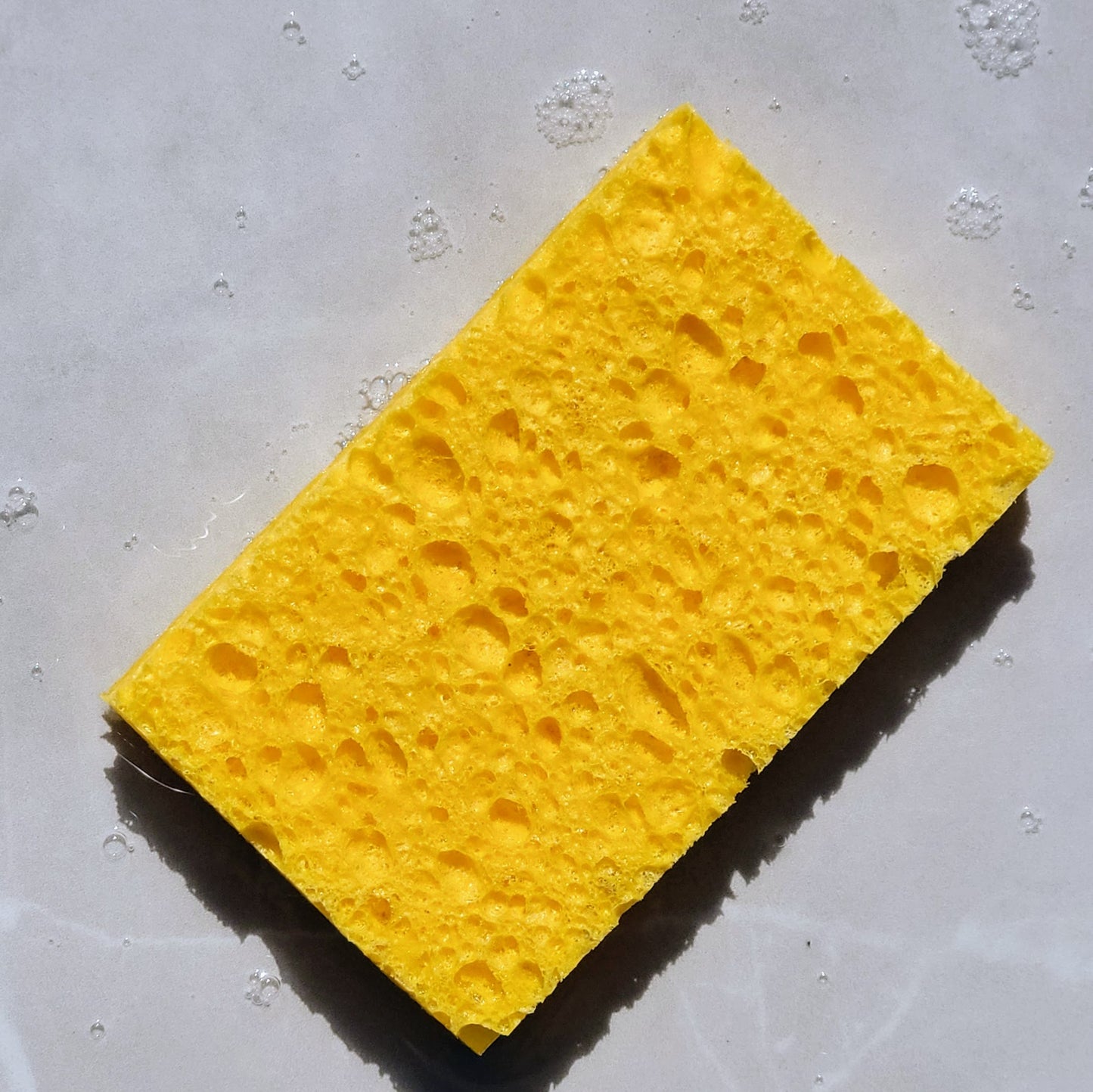 Biodegradable Cellulose Sponge