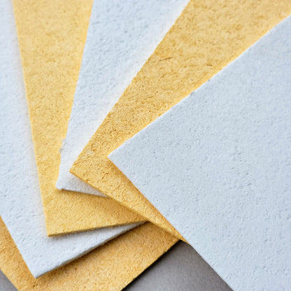 Biodegradable Cellulose Sponge