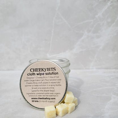 Cheeky Bits - Cloth Wipe Cleaning Solution Cubes