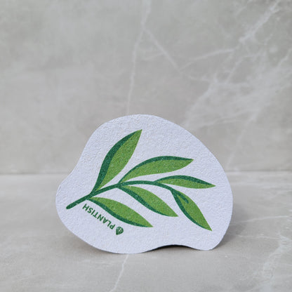 Pop-up Cellulose Sponges